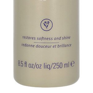 Aveda Brilliant Shampoo 250ml Restores Softness And Shine