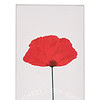 Kenzo Flower By Kenzo Edp Spray 30ml - Afbeelding 3