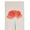 Kenzo Flower By Kenzo Edt Spray 50ml - Afbeelding 3