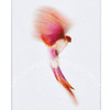 Kenzo Amour Edp Spray 100ml - Afbeelding 3
