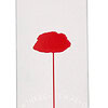 Kenzo Flower By Kenzo Hair & Body Mist 100ml - Afbeelding 3