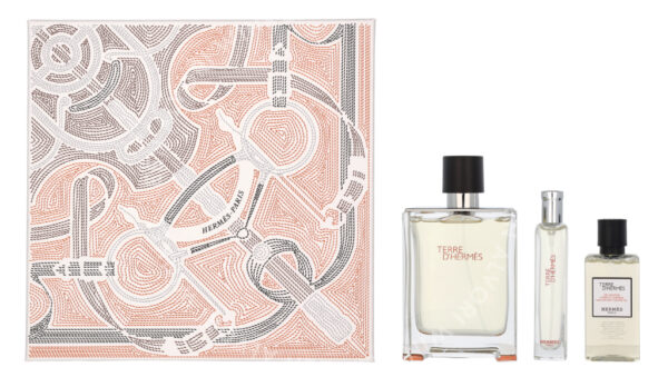 Hermes Terre D'Hermes Giftset 155ml Edt Spray 100/Edt Spray 15ml/Hair and Body Shower Gel 40ml