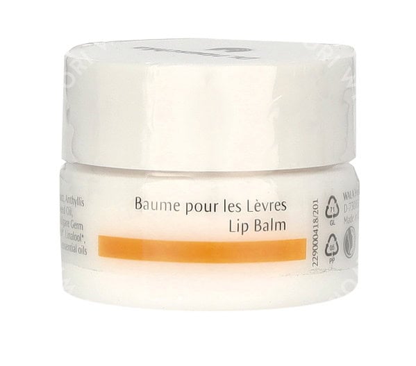 Dr. Hauschka Lip Balm 4,5ml