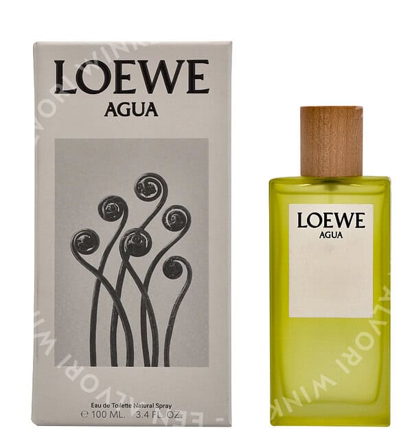 Loewe Agua Edt Spray 100ml