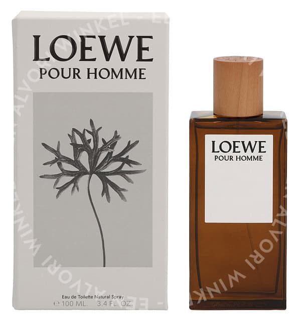 Loewe Pour Homme Edt Spray 100ml