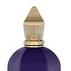 Xerjoff Accento Edp Spray 100ml - Afbeelding 2