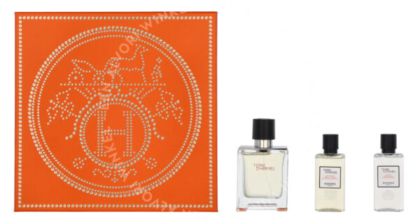 Hermes Terre D'Hermes Giftset 130ml Edt Spray 50ml/Shower Gel 40ml/Body Lotion 40ml