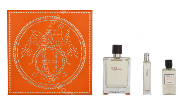 Hermes Terre D'Hermes Giftset 155ml Edt Spray 100ml/Edt Spray 15ml/Shower Gel 40ml