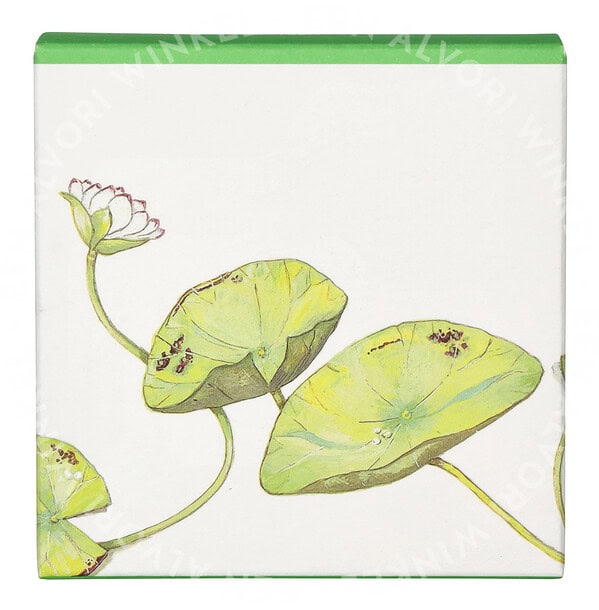 Hermes Un Jardin Sur Le Nil Perfumed Soap 100g - Afbeelding 3