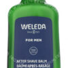 Weleda Men After Shave Balm 100g - Afbeelding 2