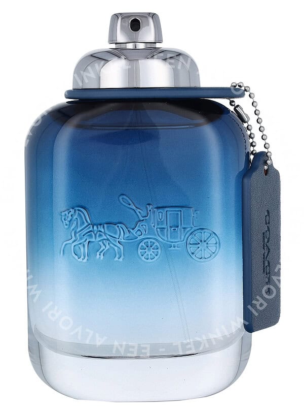 Coach Blue Edt Spray 100ml - Afbeelding 2