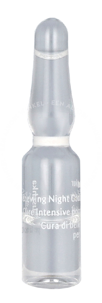 Dr. Hauschka Renewing Night Conditioner 50ml 50x1 - Afbeelding 3