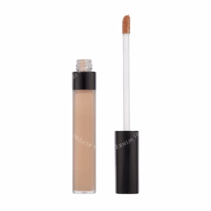 Chanel Le Correcteur Longwear Concealer 7.5g B20