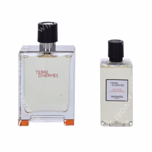 Hermes Terre D'Hermes Giftset 180ml Edt Spray 100ml/Shower Gel 80ml