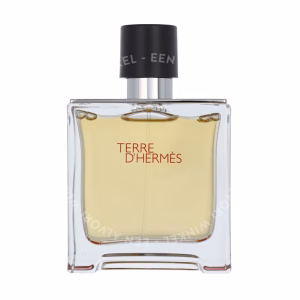 Hermes Terre D'Hermes Parfum Spray 75ml