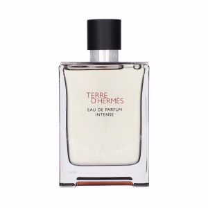 Hermes Terre D'Hermes Eau Intense Parfum Spray 100ml