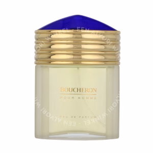 Boucheron Pour Homme Edp Spray 100ml