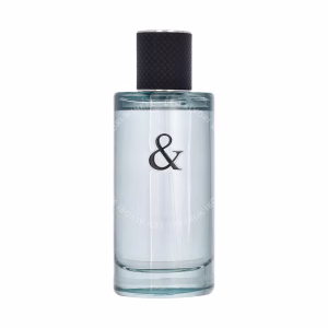 Tiffany & Co & Love For Him Edt Spray 90ml