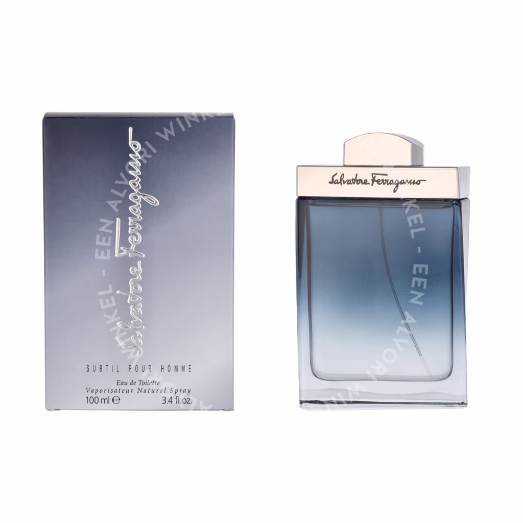 S. Ferragamo Subtil Pour Homme Edt Spray 100ml - Afbeelding 3