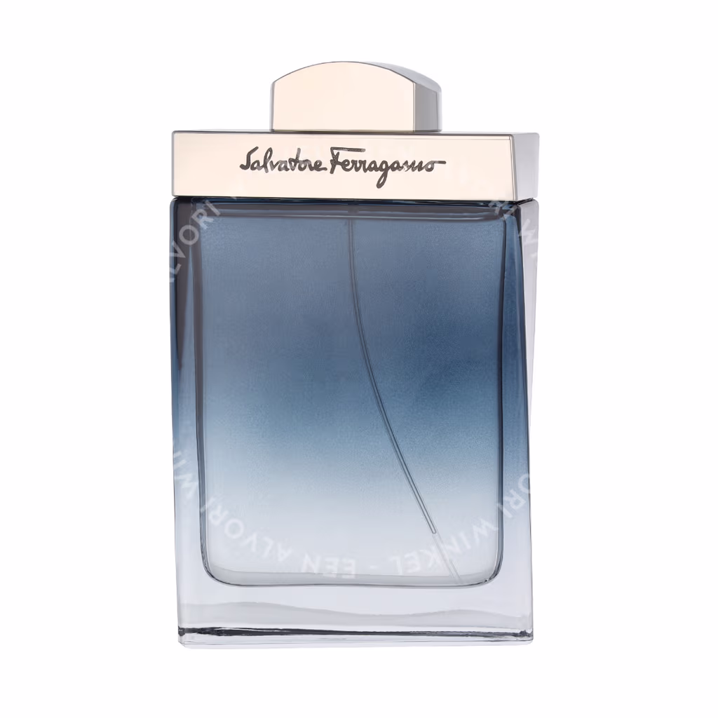 S. Ferragamo Subtil Pour Homme Edt Spray 100ml