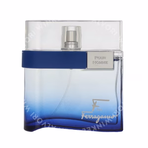 S. Ferragamo F Pour Homme Free Time Edt Spray 100ml
